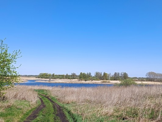 Продам участок 28 соток, ИЖС, Мира ул, 129, Гагарино с, 0 км от города