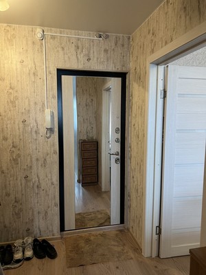 Продам однокомнатную (1-комн.) квартиру, Кустодиева ул, 4, Санкт-Петербург г