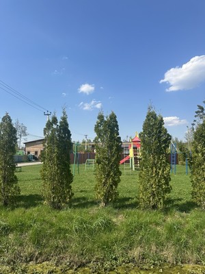 Продам участок 7,24 соток, ИЖС, Фенино д, 0 км от города