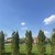 Продам участок 7,24 соток, ИЖС, Фенино д, 0 км от города