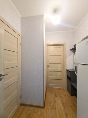 Сдам однокомнатную (1-комн.) квартиру, Ветеранов пр-кт, 169к2, Санкт-Петербург г