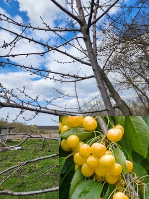 Продам дом, Коскино ул, 3, Семенск с, 0 км от города