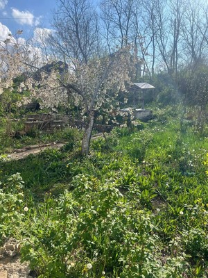 Продам участок 6 соток, ИЖС, Озерный пер, 5, Заречное с, 0 км от города