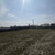 Продам участок 10 соток, ИЖС, им Шаваева Ж.А. пер, Шалушка с, 0 км от города