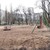 Продам двухкомнатную (2-комн.) квартиру, Труда пр-кт, 6к5, Воронеж г