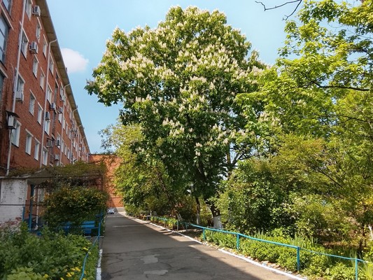 Продам трехкомнатную (3-комн.) квартиру, Пионерская ул, 374кА, Майкоп г