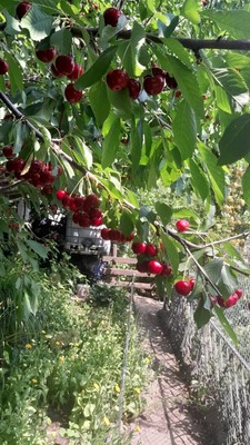 Продам дом, Роз б-р, Волгодонск г, 0 км от города