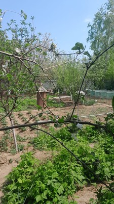 Продам дом, Роз б-р, Волгодонск г, 0 км от города