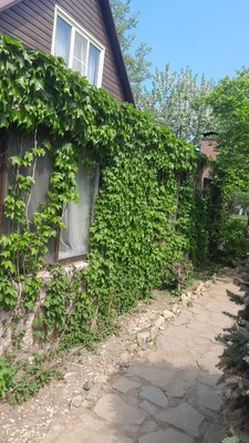 Продам дом, Роз б-р, Волгодонск г, 0 км от города