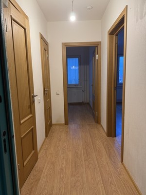 Продам однокомнатную (1-комн.) квартиру, Парашютная ул, 61к4, Санкт-Петербург г