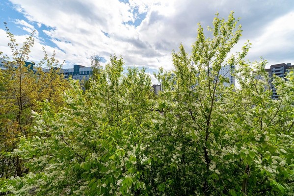 Продам двухкомнатную (2-комн.) квартиру, Шаврова ул, 25к1, Санкт-Петербург г