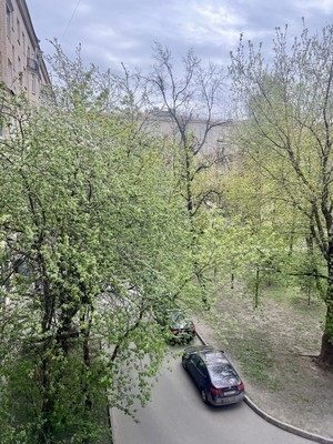 Продам однокомнатную (1-комн.) квартиру, Московский пр-кт, 195, Санкт-Петербург г