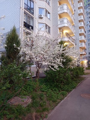 Сдам двухкомнатную (2-комн.) квартиру, Дмитрия Ульянова ул, 23к2, Москва г
