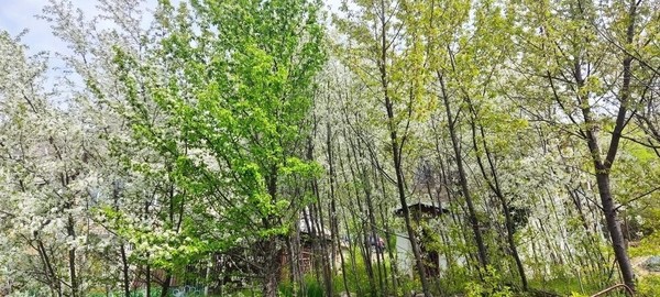 Продам дом, Салют снт, 17, Доброе с, 0 км от города