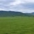Продам дом, Салют снт, 17, Доброе с, 0 км от города