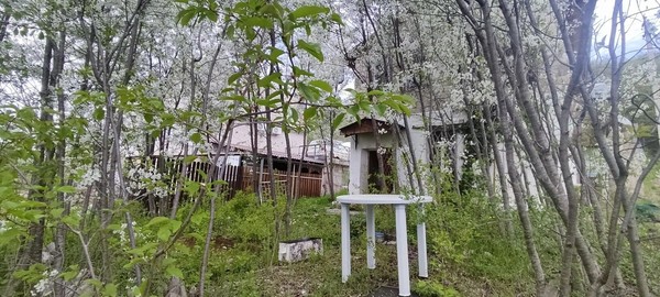 Продам дом, Салют снт, 17, Доброе с, 0 км от города