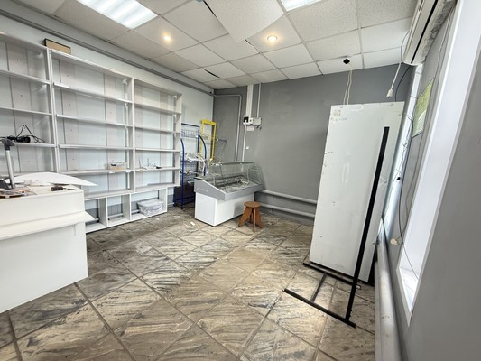 Продам торговое помещение 70 м2, Центральная ул, 15а, Хреновое с