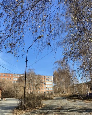 Продам двухкомнатную (2-комн.) квартиру, Боровая Партия ул, 17, Новосибирск г