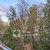 Продам двухкомнатную (2-комн.) квартиру, Боровая Партия ул, 17, Новосибирск г
