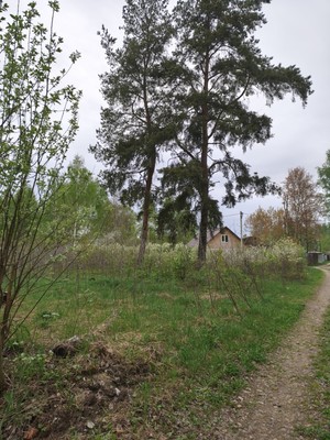 Продам участок 7 соток, Садоводство, Гжель тер. СНТ, Речицы с, 0 км от города