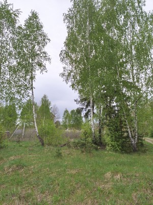 Продам участок 7 соток, Садоводство, Гжель тер. СНТ, Речицы с, 0 км от города