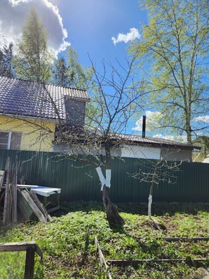 Продам дом, 2-я (Дружба тер. СНТ) линия, 62, 39 км Мурманского шоссе массив, 0 км от города
