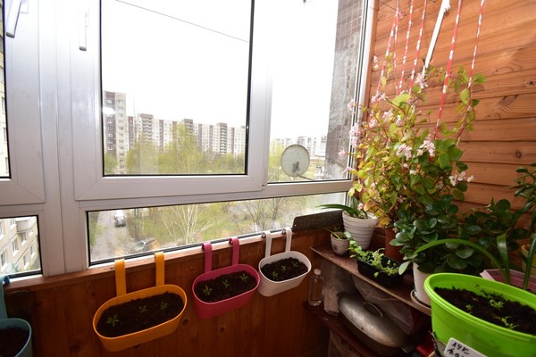 Продам трехкомнатную (3-комн.) квартиру, Олеко Дундича ул, 39Ак1, Санкт-Петербург г