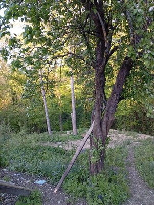Продам участок 7,5 соток, Фермерское хоз., Судоремонтник тер. СНТ, 2, Красное с, 0 км от города