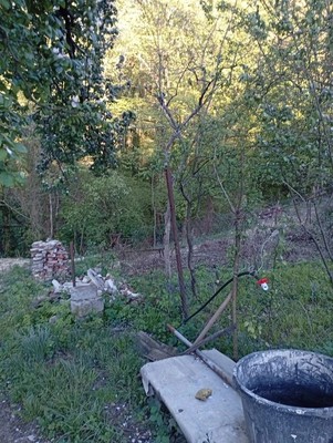 Продам участок 7,5 соток, Фермерское хоз., Судоремонтник тер. СНТ, 2, Красное с, 0 км от города
