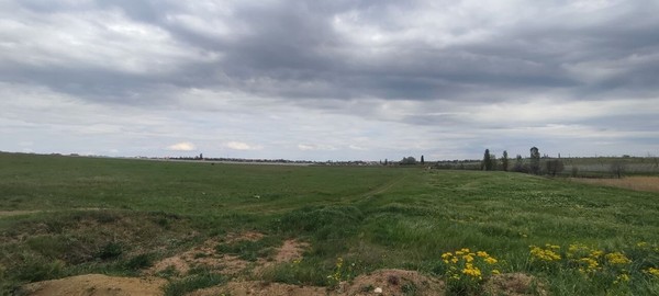 Продам землю для коммерческого использования 137,02 соток, Фермерское хоз., Родниково с