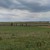 Продам землю для коммерческого использования 137,02 соток, Фермерское хоз., Родниково с