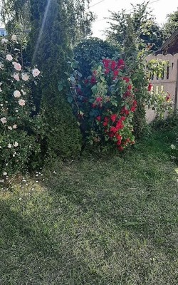 Продам двухкомнатную (2-комн.) квартиру, Советская ул, 96, Янтарный пгт