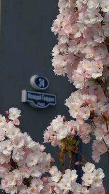 Продам трехкомнатную (3-комн.) квартиру, Молодой гвардии ул, 34к1, Калининград г