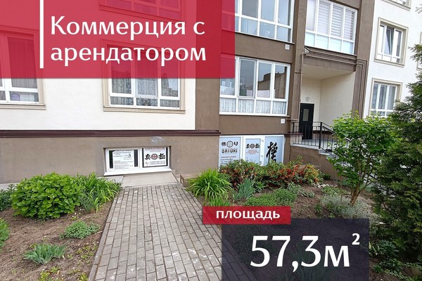 Продам коммерческое помещение 57,3 м2, Весенняя ул, 1, Васильково п
