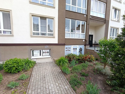 Продам коммерческое помещение 57,3 м2, Весенняя ул, 1, Васильково п