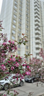 Продам однокомнатную (1-комн.) квартиру, Кременчугская ул, 5к3, Москва г