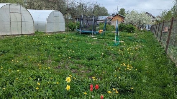 Продам дачу, Почтовая квартал 2 ул, 146, Старый Городок п, 0 км от города