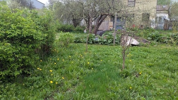 Продам дачу, Почтовая квартал 2 ул, 146, Старый Городок п, 0 км от города