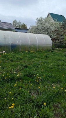 Продам дачу, Почтовая квартал 2 ул, 146, Старый Городок п, 0 км от города