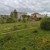 Продам двухкомнатную (2-комн.) квартиру, Пролетарская ул, 9, Сырково д