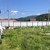 Продам участок 6 соток, Фермерское хоз., Агой с, 0 км от города