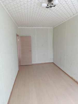 Продам двухкомнатную (2-комн.) квартиру, 1-я Новая ул, 10, Кикерино п