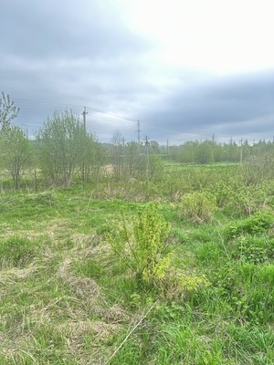 Продам участок 10 соток, ИЖС, Починковская ул, Яхрома г, 0 км от города