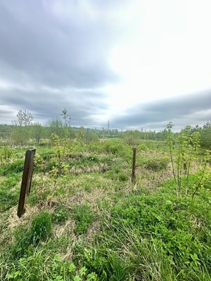 Продам участок 10 соток, ИЖС, Починковская ул, Яхрома г, 0 км от города