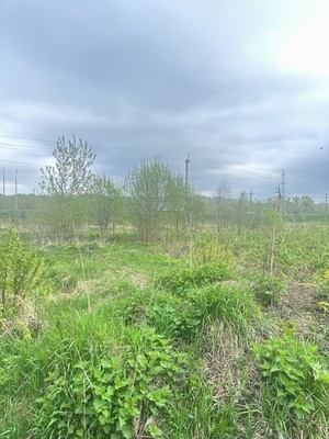 Продам участок 10 соток, ИЖС, Починковская ул, Яхрома г, 0 км от города