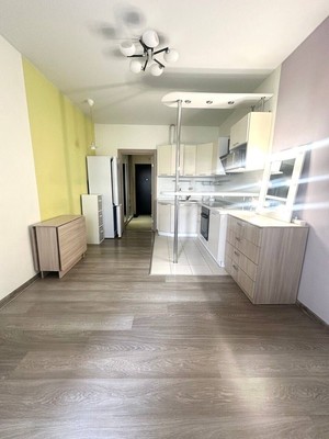 Продам однокомнатную (1-комн.) квартиру, Охтинская аллея, 16, Мурино п