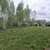 Продам участок 10,5 соток, ИЖС, Новая ул, Мышенское с, 0 км от города