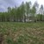 Продам участок 10,5 соток, ИЖС, Новая ул, Мышенское с, 0 км от города