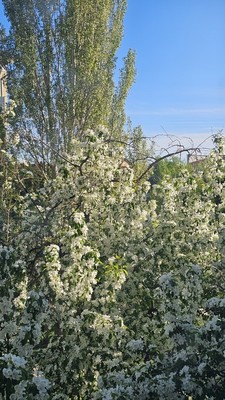 Продам однокомнатную (1-комн.) квартиру, Чапаева ул, 23, Октябрьский г