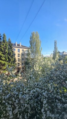 Продам однокомнатную (1-комн.) квартиру, Чапаева ул, 23, Октябрьский г